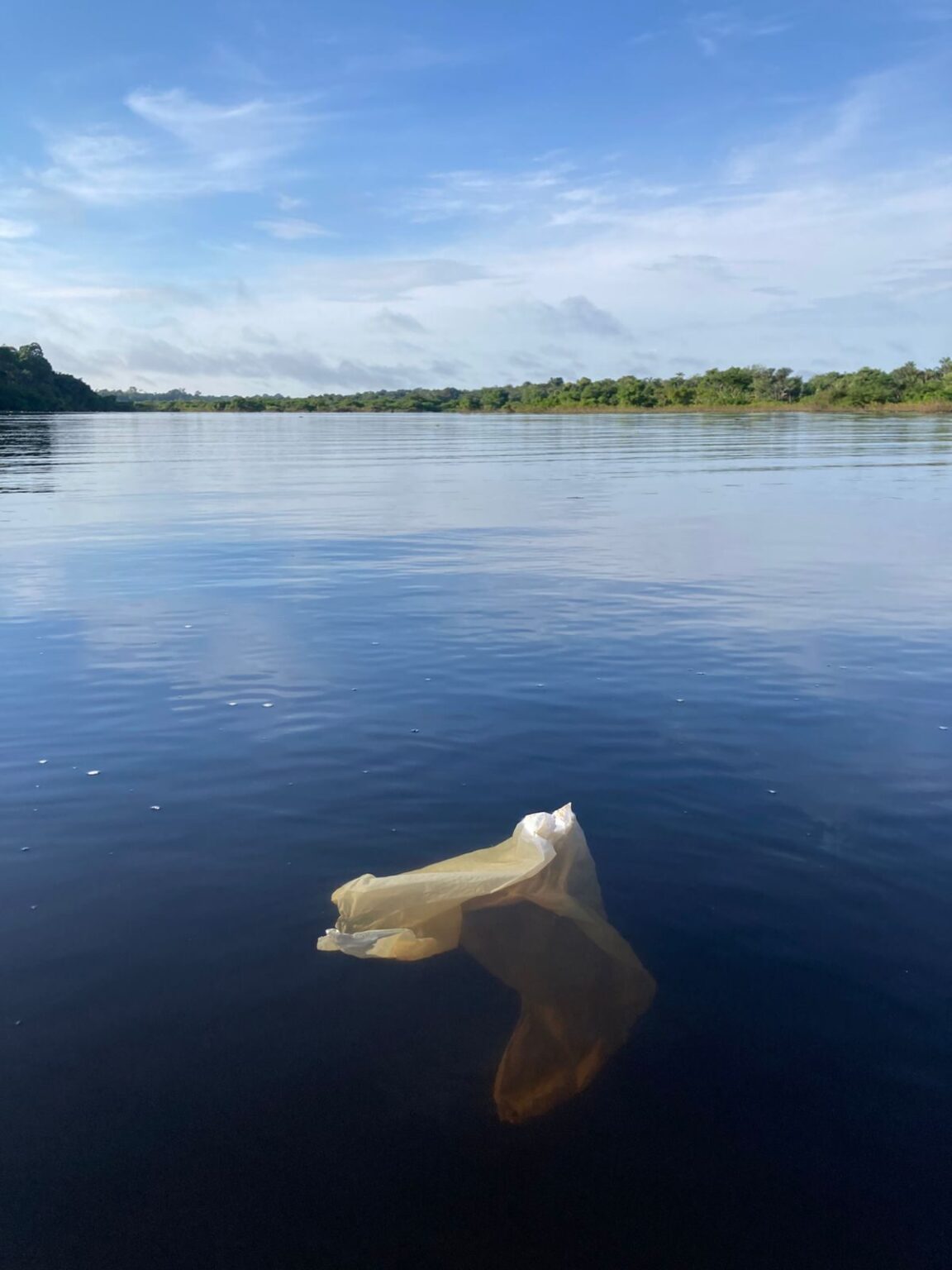 Estudo da Fiocruz Amazônia aponta extensa e preocupante contaminação por plásticos na Amazônia