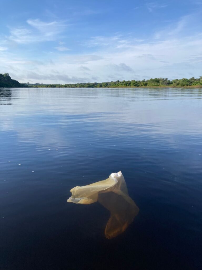 Estudo da Fiocruz Amazônia aponta extensa e preocupante contaminação por plásticos na Amazônia 