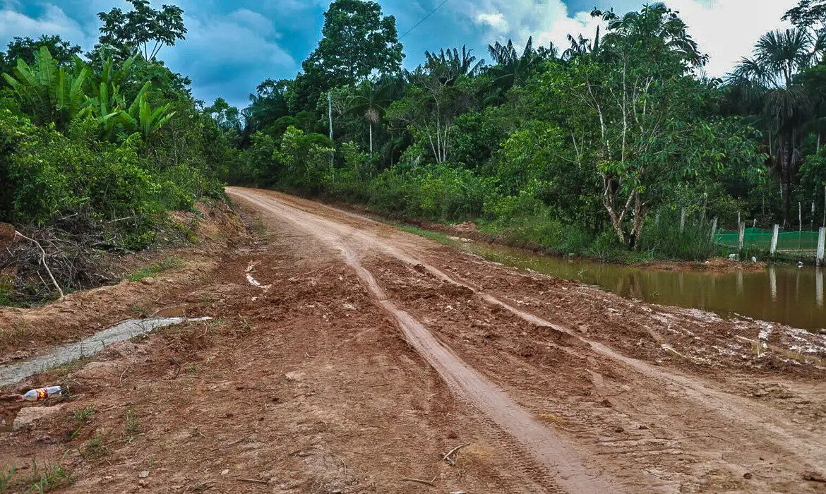 Especialista avalia que pavimentação da BR-319 pode ser complexa, custosa e gerar inundações