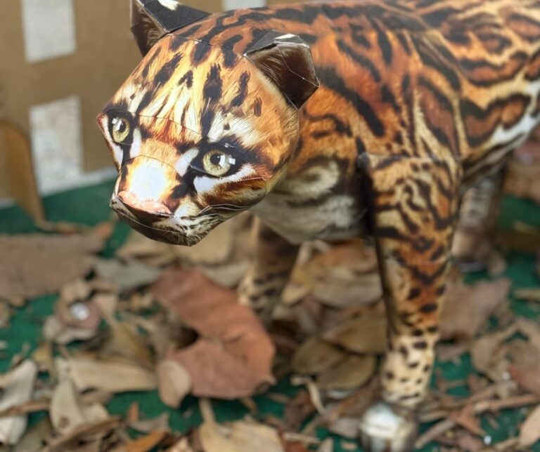 Exposição 'Amazônia de Papel' traz a beleza da floresta para shopping de Manaus