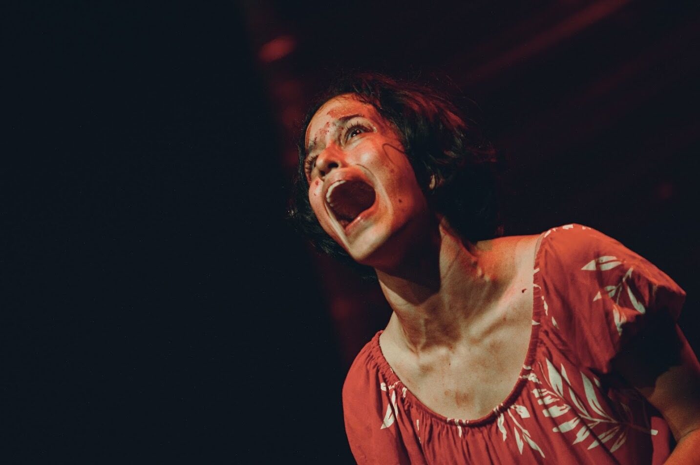 Festival de Teatro da Amazônia 2025: confira os espetáculos da semana com entrada gratuita