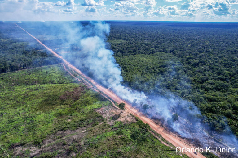 BR-319: pavimentação reacende alerta sobre desmatamento e põe em risco meta climática do Brasil na COP30