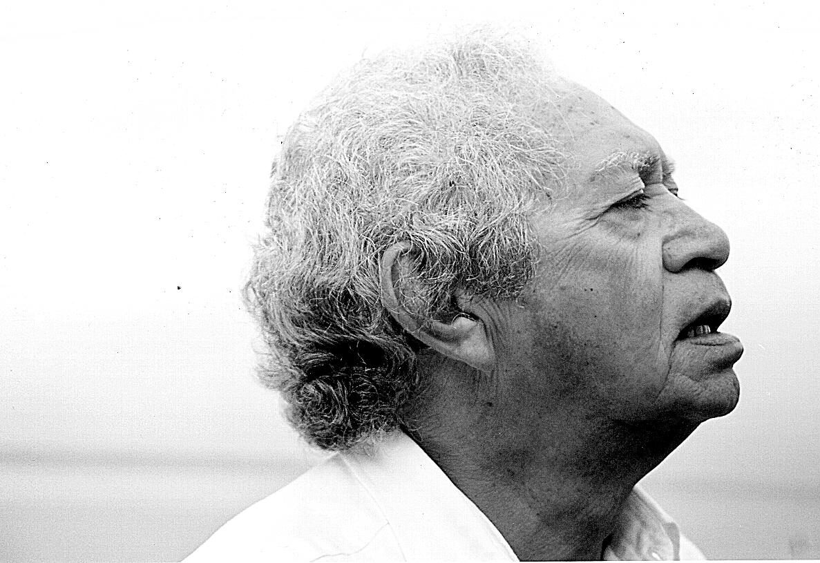 Valer anuncia as celebrações do ‘Centenário do poeta Thiago de Mello’ e o ‘Amazônia Festival de Poesia’