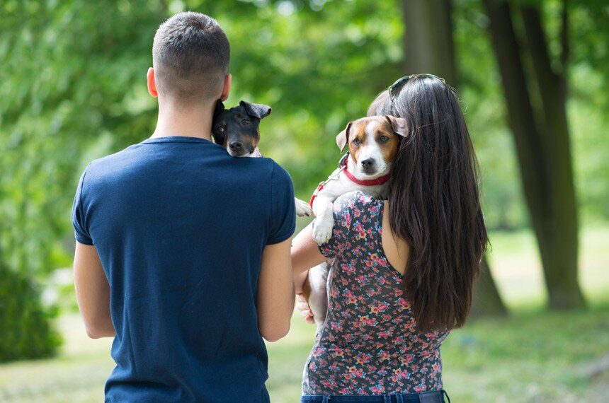 Guarda compartilhada de animais: quando o direito encontra o afeto