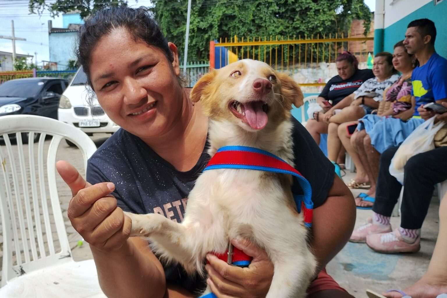 Agendamento para castração gratuita de cães e gatos no CCZ é aberto nesta quinta-feira, 15/1