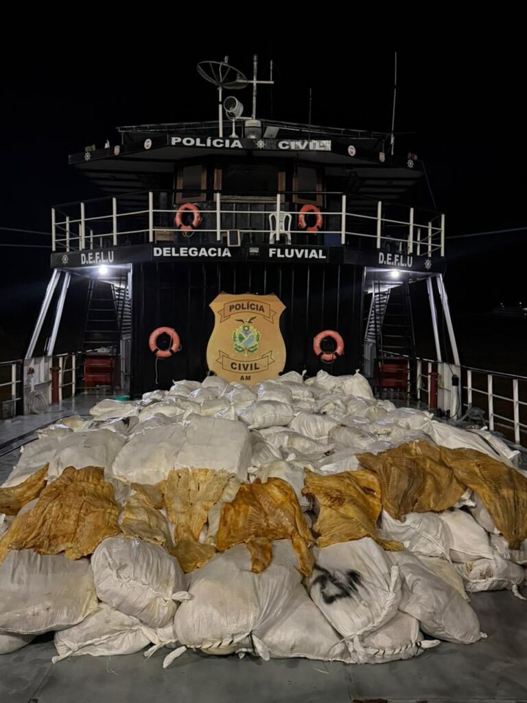 Base fluvial da PC-AM apreende 12 toneladas de pirarucu seco próximo a Itacoatiara