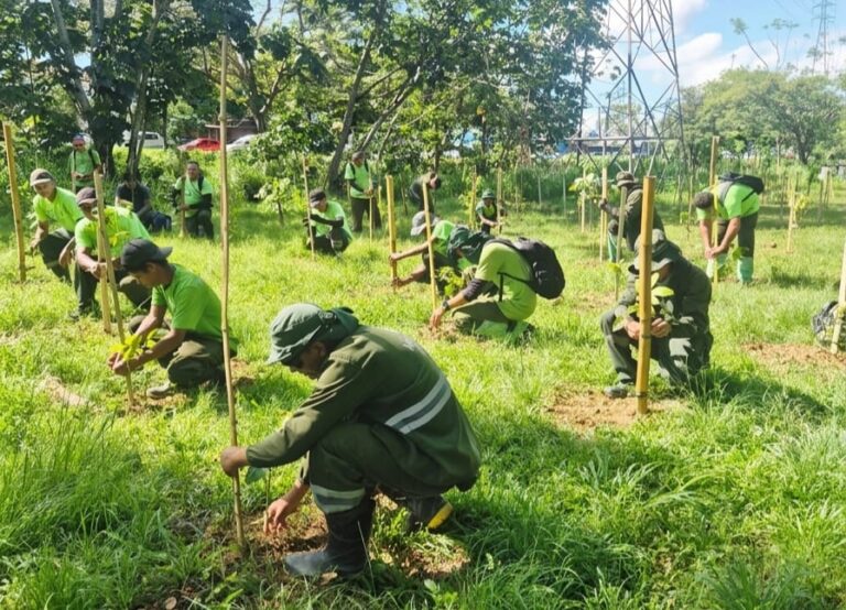 Prefeitura de Manaus acelera arborização urbana e já supera 60% da meta anual de plantio